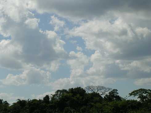 cf000005.jpg