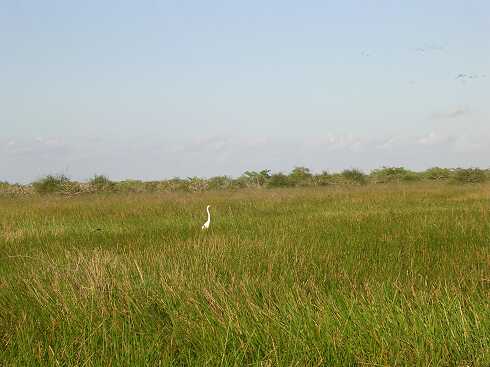 cf000015.jpg