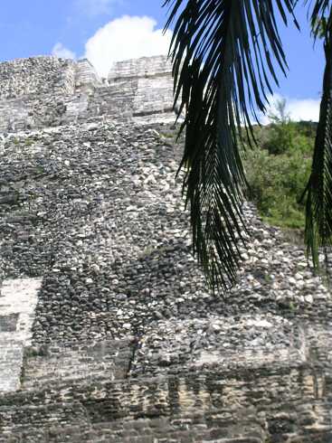 cf000028.jpg