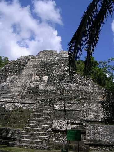 cf000031.jpg