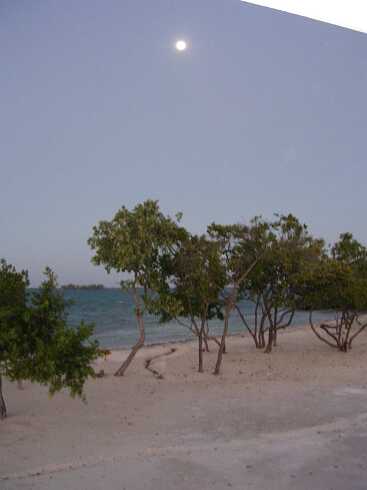 cf000071.jpg