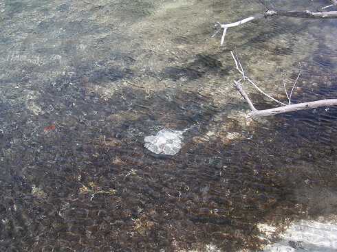 cf000084.jpg