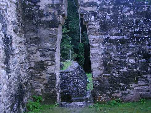 cg000013.jpg