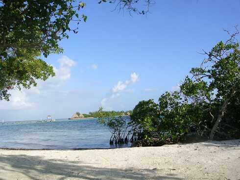 cg000069.jpg