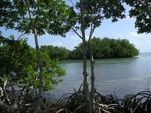 cg000083.jpg