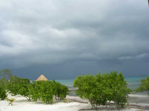 cg000089.jpg
