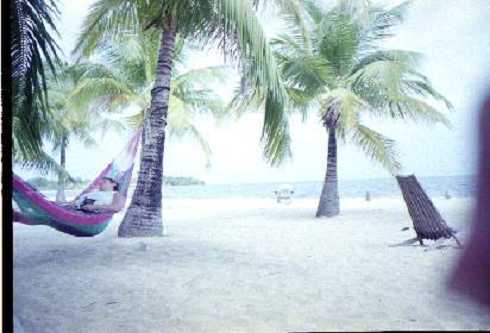 db000060.jpg