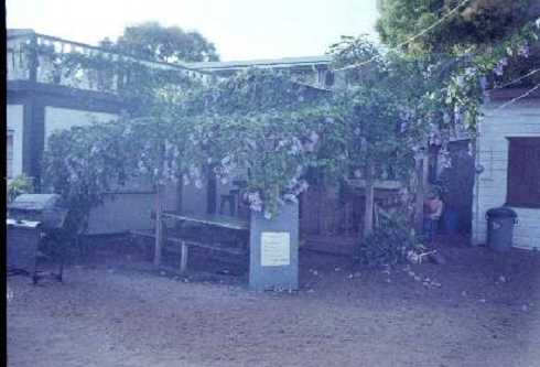 db000064.jpg