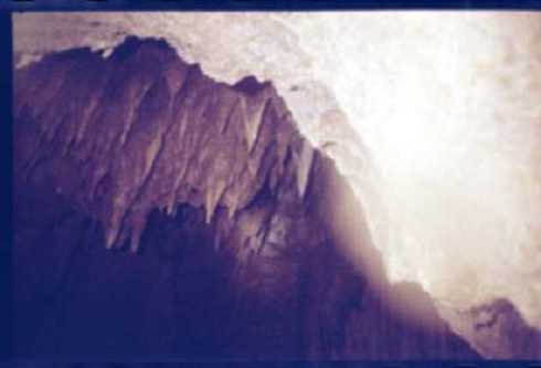 db000090.jpg