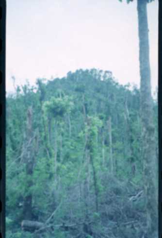 dc000094.jpg