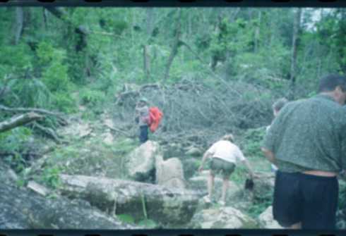 dc000095.jpg