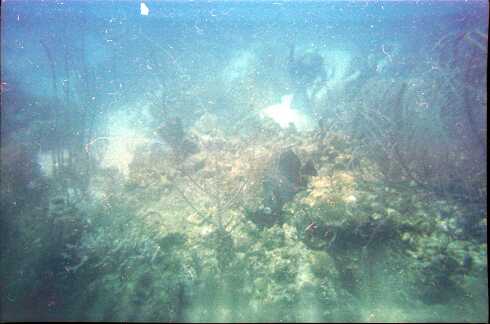 df000010.jpg