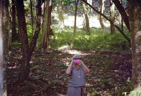 fa000154.jpg