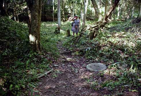fa000162.jpg