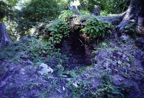 fa000199.jpg