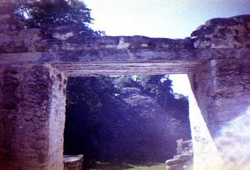 fa000218.jpg