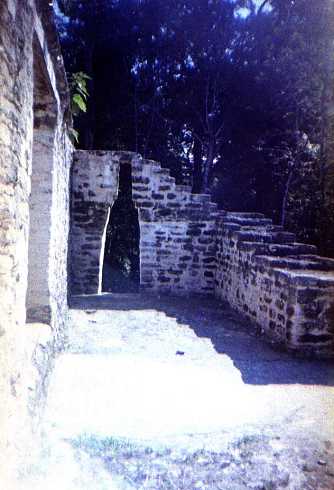 fa000219.jpg