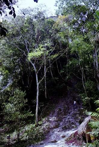 fa000279.jpg