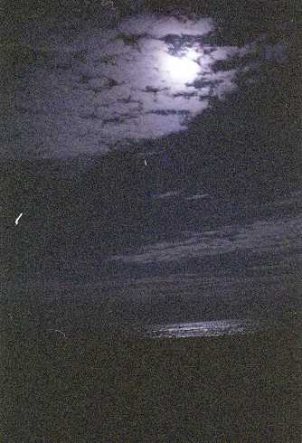 fb000108.jpg