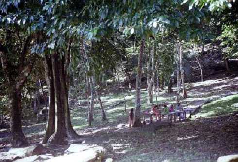 fb000136.jpg