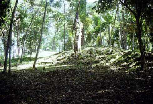 fb000140.jpg