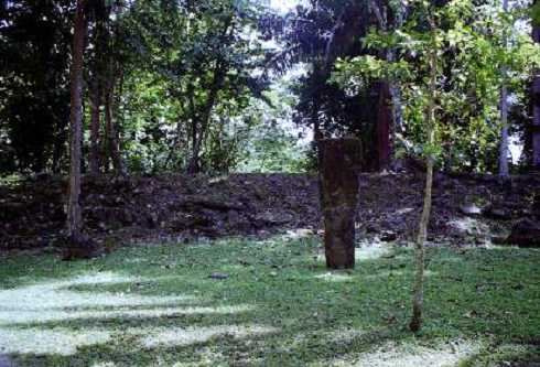 fb000164.jpg
