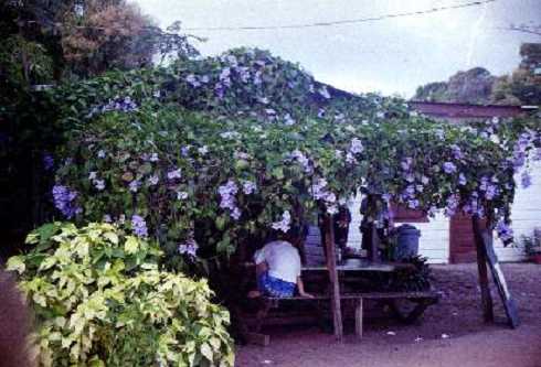 fb000197.jpg