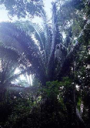 fb000207.jpg