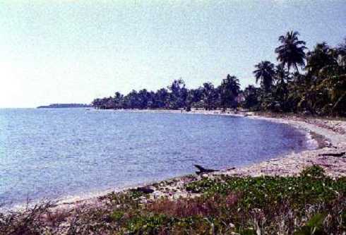 fb000242.jpg