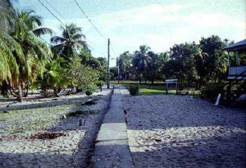 fb000249.jpg