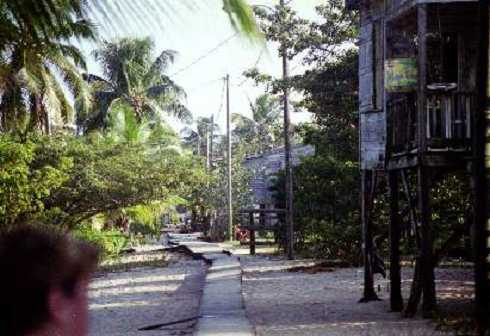 fb000250.jpg