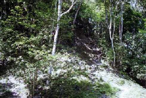 fb000400.jpg