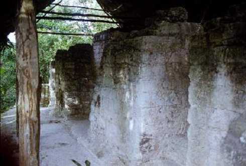 fb000469.jpg