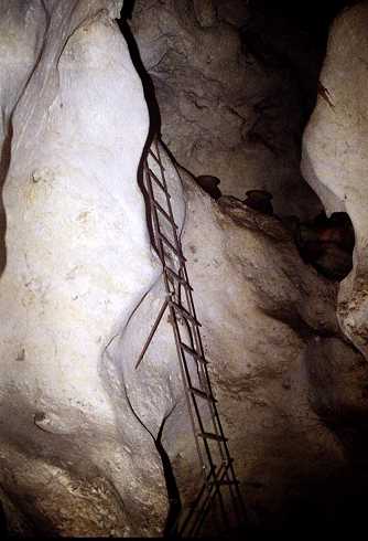 fb000776.jpg