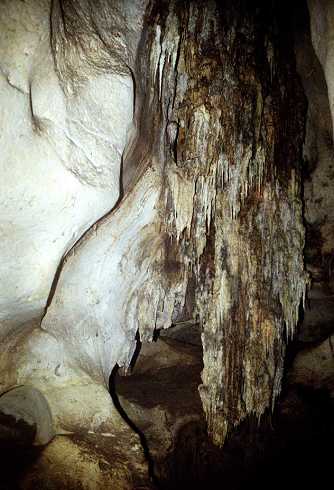 fb000780.jpg