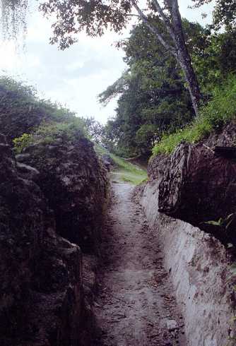 fb000858.jpg