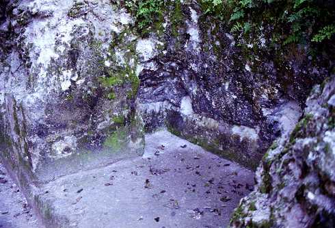 fb000863.jpg