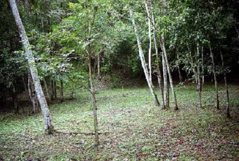 fb000866.jpg