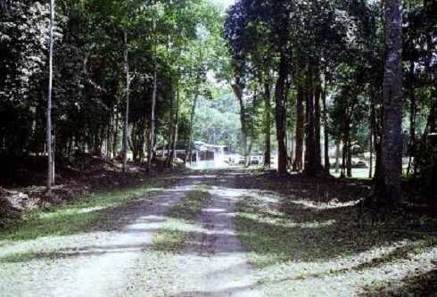 fb000991.jpg