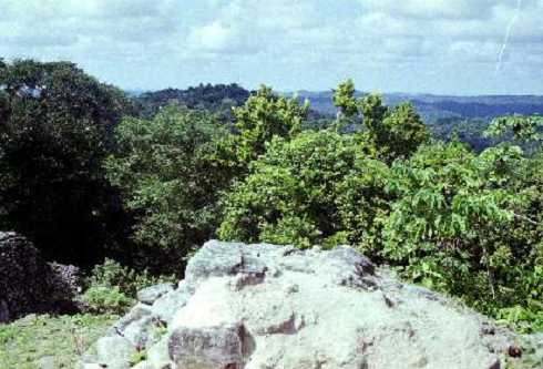 fb001026.jpg