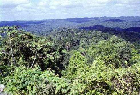 fb001027.jpg
