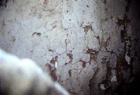 fb001051.jpg