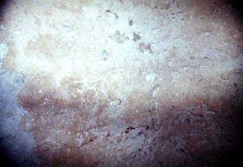 fb001056.jpg