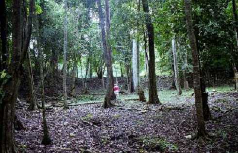 fb001064.jpg
