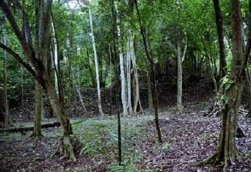 fb001065.jpg