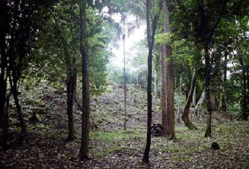 fb001067.jpg