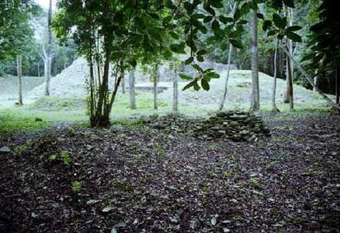 fb001073.jpg