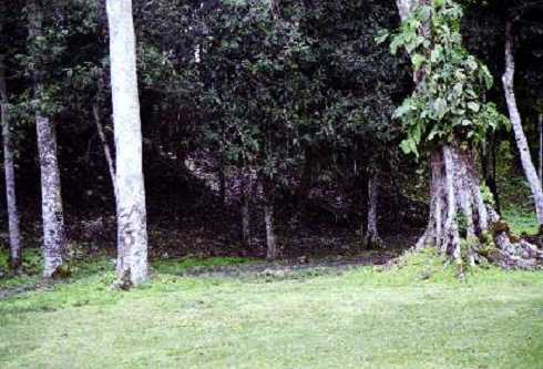 fb001074.jpg