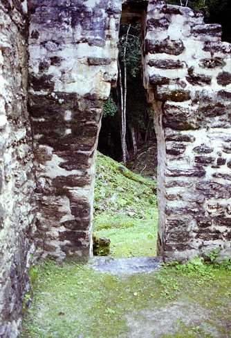 fb001103.jpg