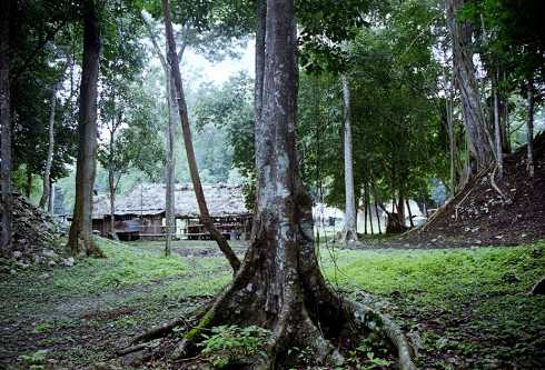 fb001133.jpg